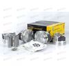 Поршневая группа 405 96,0 Г (поршни+пальцы+кольца) (GPART) ГАЗ