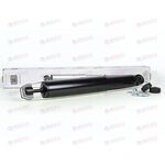 Амортизатор подвески задн (газ/масло) (AG 08519) TRIALLI