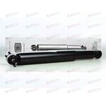Амортизатор подвески задн (газ/масло) (AG 08530) TRIALLI