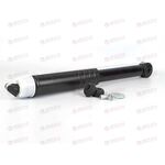 Амортизатор для а/м Renault Arkana (19-) 4x2 задн. (AG 09523) TRIALLI