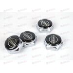 Болт крепления номерного знака NISSAN металлик (4 шт) AV